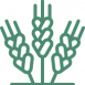 ico_1 ico_1